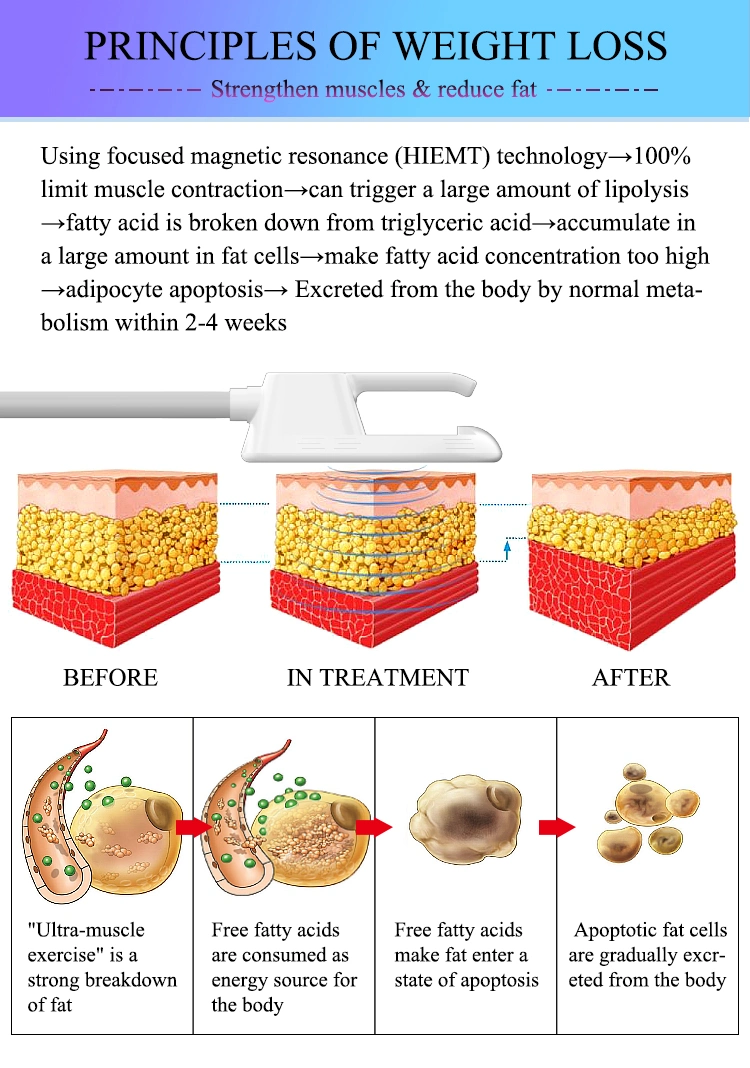 SPA System for Training Bodytech with 7 Tesal Power Electric Physical Therapy Equipment EMS 68